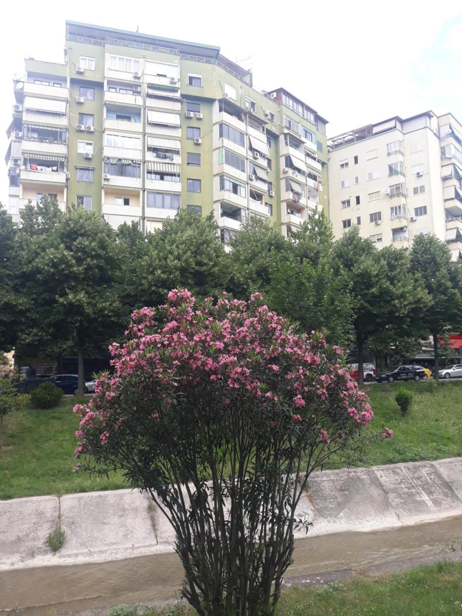 Dani's * Tirana